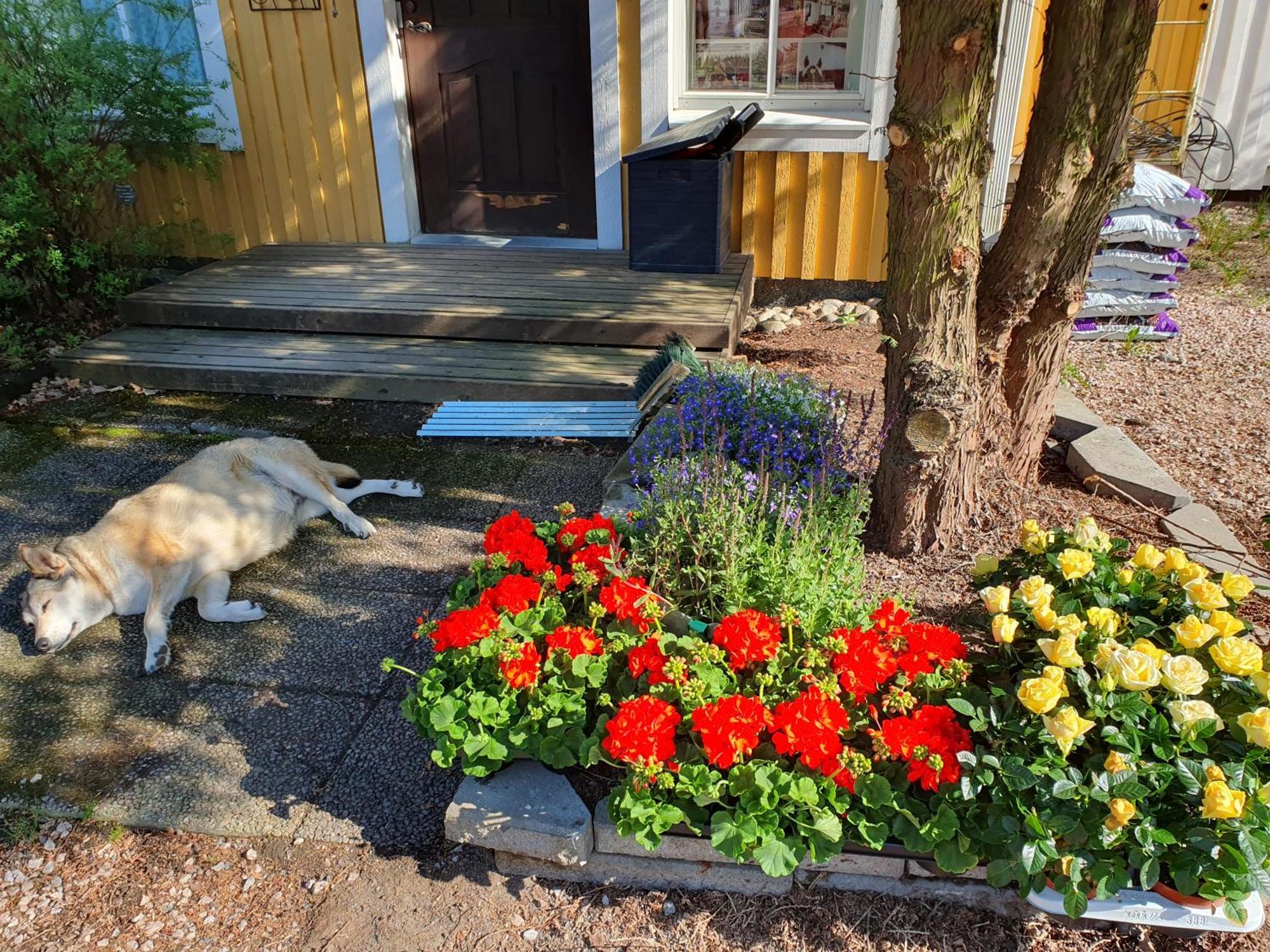 Gasthaus Siirilaen Tila Seinäjoki Exterior foto